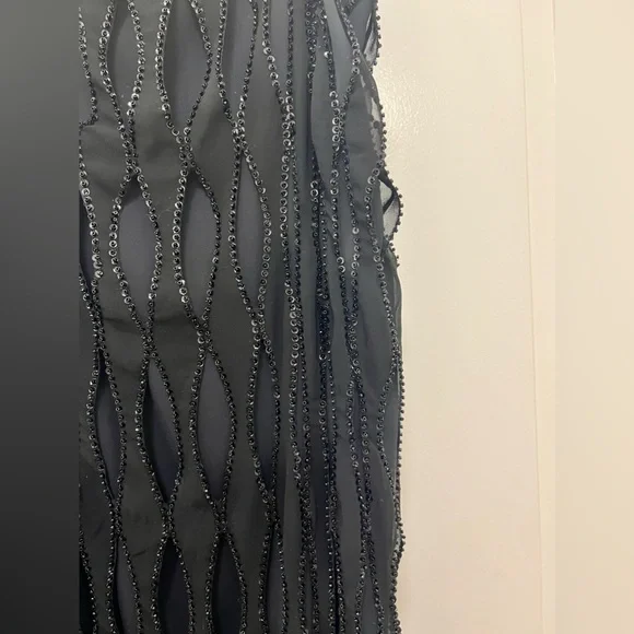 NWT Zara Sequin Beaded Fringe Dress - Picture 10 of 16